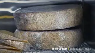 Le MIN, un facilitateur de projets