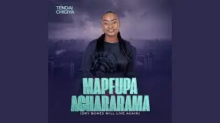 MAPFUPA ACHARARAMA