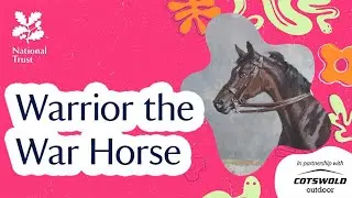 Warrior the War Horse | Survival Against the Odds | Podcast