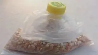 How to close a plastic bag using a bottle