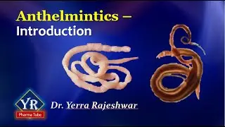 Anthelmintics - Introduction | Introduction to Anthelmintics