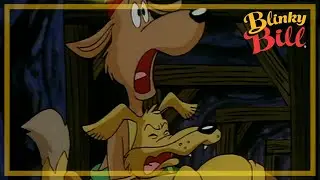 BLINKY BILL AND THE EARTHQUAKE - Episode 4 - Season 2 - The Adventures of Blinky Bill
