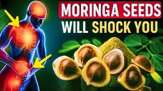 Eat Moringa Seeds for 7 Days and Watch What Happens &ndash; 12 Amazing Benefits