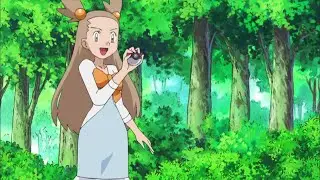 Pok&eacute;mon The Series DP Sinnoh League Victors Jasmine VS. Flint Alyson Leigh Rosenfeld