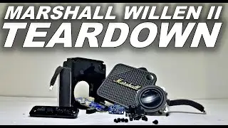 Разборка Marshall Willen II &mdash; что внутри этой колонки за 100 долларов?