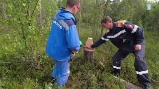 Как закладывают опорную геодезическую сеть ? #геодезия #природа
