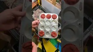 feeding the worms lots of food scraps 🍅🪱🌶️🌽#shorts