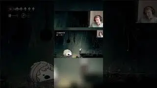 These details = Love from the devs ❤️ #gaming #silksong #startstreaming #hollowknight #indiegame