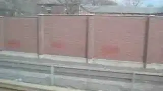 boston buffed redline graf