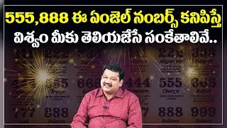 555,888 Angel Numbers Meanings || Universe Numbers || gns of universe With numbers || Money World
