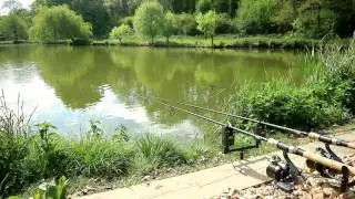 Carp run down Riverfarm fishery