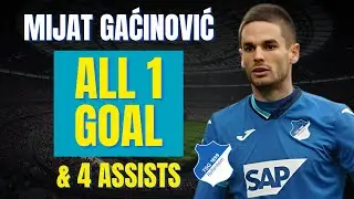 Mijat Gaćinović - ALL 1 GOAL & ASSISTS FOR HOFFENHEIM | Skills & Highlights