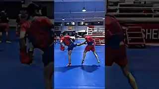 Wushu fights🔥🔥👊