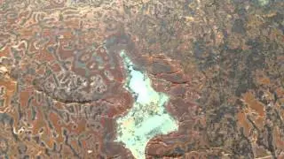 How to Prevent Epoxy Resin From Contaminating Your Specimen During Treatment