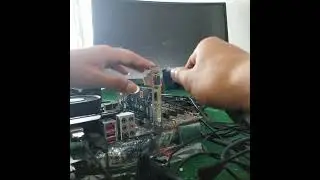 NVIDIA GeForce 310 310 512MB GDDR3 64 BitE*i