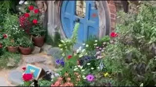 New Zealand Beautiful Garden 🇳🇿