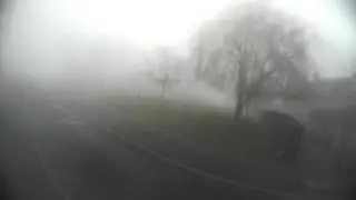 Milky way (morning fog)