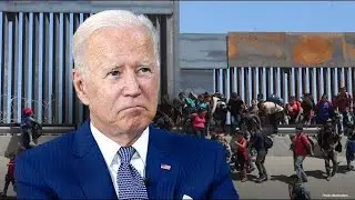 USA donkey via mexico / America donkey video border crossing/ india to usa donkey video 2023