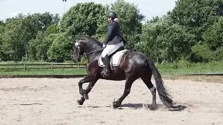 Lucky f&oslash;rste LB1A