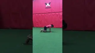 2.8 Beast Position Iso+Glider LE Movement
