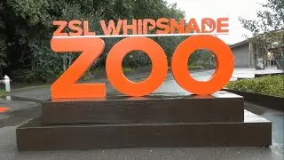 ZSL Whipsnade Zoo, August 2020