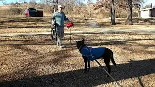 Fishing Trip with Timber 
