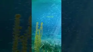 Amazing deep sea underwater nature healing music 🎵   #shorts