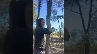 Roo 🦘 Fist 🤜 more forearm, palm & finger conditioning plus free flow conditioning on tree narrow 🌳 
