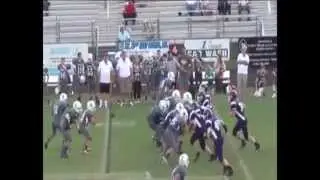 cgms vs scms