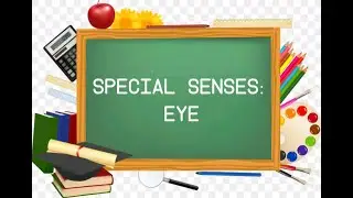 Special Senses: Eye|Tear Gland, Eyeball Anatomy, Vision Mechanism, Disorders|ICSE & CBSE|drStingRay