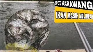 SPOT MANCING KARAWANG IKAN MELIMPAH