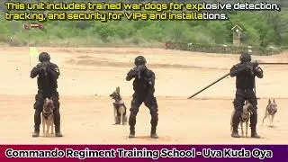 Commando Regiment Training School 