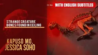 Strange creature bones found in ceiling (with English subs) | Kapuso Mo, Jessica Soho