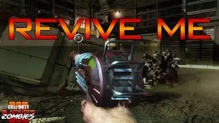 ZOMBIES NOOB: REVIVE ME, I HAVE THE RAY GUN!!