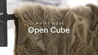 In the Gallery: Adriano Pedrosa on 'Open Cube' | White Cube