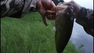 Square Bill Fishing, Seasons are Changing, New content coming Soon
