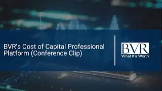 BVR&rsquo;s Cost of Capital Professional Platform -- Conference Clip