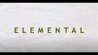 ELEMENTAL: The Successes and Failures of Incremental Housing