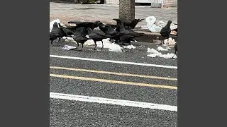 Persistent friends