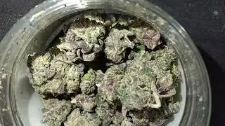 Sunset Sherbet -wow #420 #medicalmarijuanapatient #smokinhotcollecion