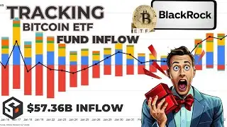 How To Track Bitcoin ETF Funds Inflow and Outflow