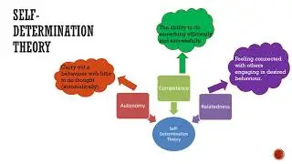 The Intention-Behaviour Gap