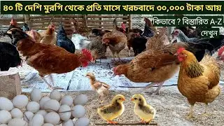 মাত্র ৪০টি দেশি মুরগি পালনে ৩০,০০০ টাকা আয় প্রতি মাসে খরচবাদে কিভাবে? বিস্তারিত A-Z প্রমাণসহ দেখুন।