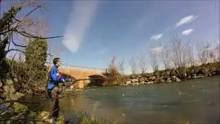 TROTA IRIDEA IN CANALE by RIVER TROUT