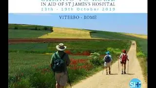 2019 Camino in aid of St James's Hospital