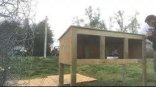 How to build a BIG rabbit hutch