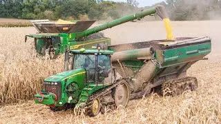 Big Corn Harvest 2024 | John Deere X9 1100, John Deere 8345R & John Deere 8320RT