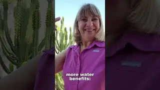 Do Know the Power of Water?💦