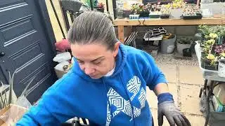 Winter Sowing 🌱 | Soaking Seeds & Planting Surprise Seeds | TX 9a Garden Zone 