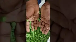 Safal Frozen Peas | Available on IndiaMART
